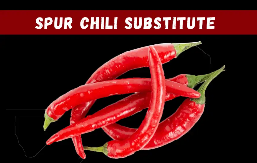 spur chili is a kind of chili pepper that originates from the southwestern united states