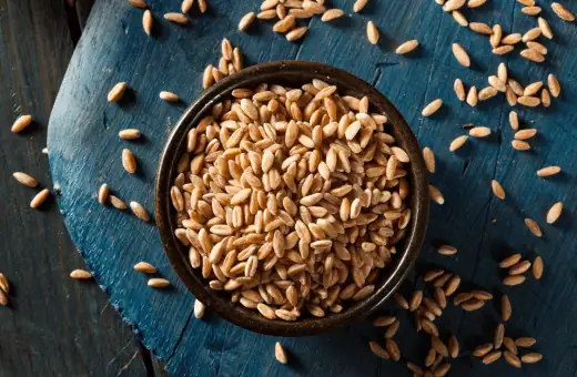 whole grain spelt is a great substitute for wheat berry substitute