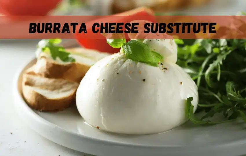 burrata cheese is a soft Italian cheese known for its creamy texture and rich flavor