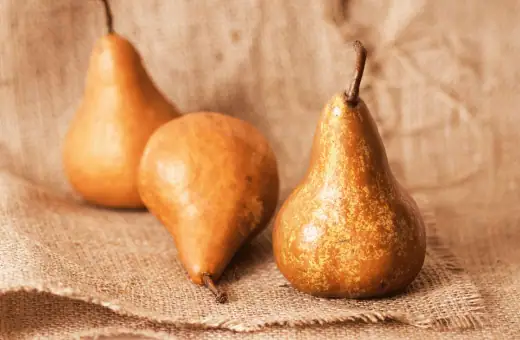 bosc pears are the perfect alternative to bartlett pears