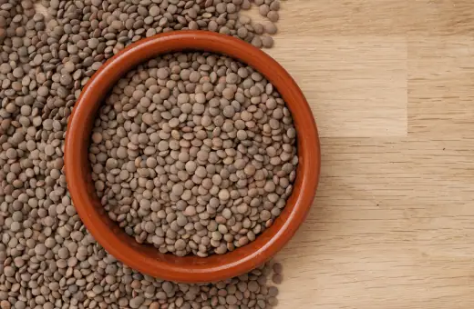 one of the closest substitutes for red lentils is brown lentil