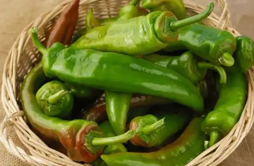 anaheim pepper is a good hungarian peppers substitute 