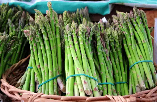 asparagus is a great substitute for samphire