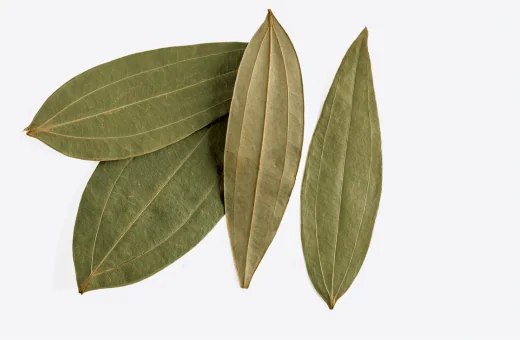 bay leaf can be substitute for fresh marjoram