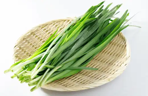 chives is good parsley alternatives for garlic bread