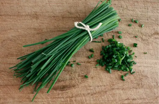 chives is most substitute for garlic oil