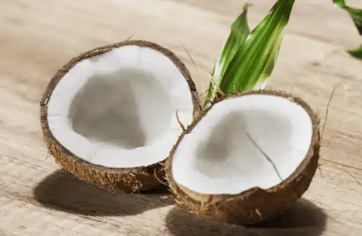 coconut is good replacement for breadfruit