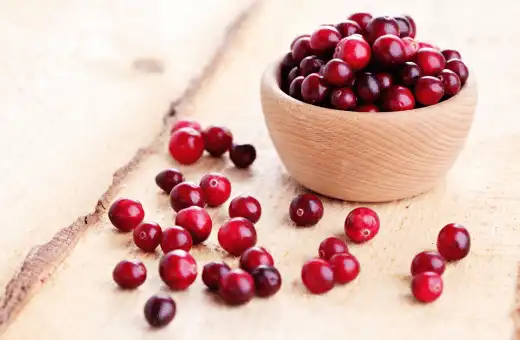 cranberries are a good substitutes for goji berries
