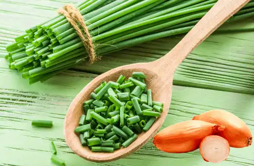 green onions or shallots are good garlic chives replacements