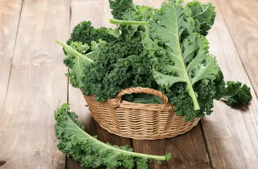 kale is a good alternatives for dandelion greens