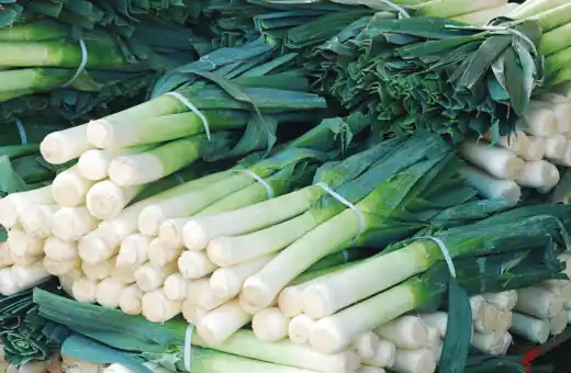 leeks are good garlic chives substitutes