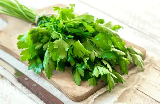 parsley is a good alternate for dill in tzatziki