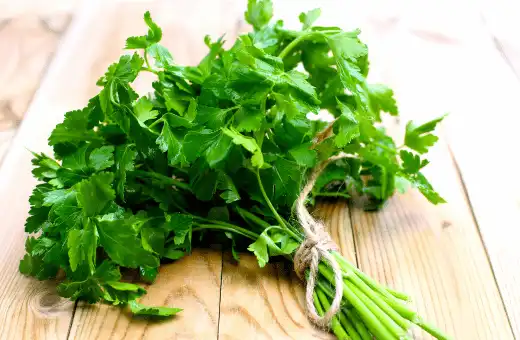 parsley is a nice alternate for celery