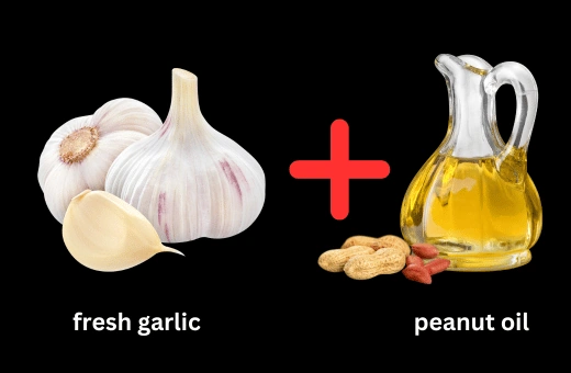 fresh garlic and peanut oil are most alternative for garlic oil
