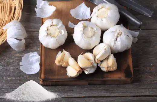 salt and fresh garlic is good alternate for garlic salt
