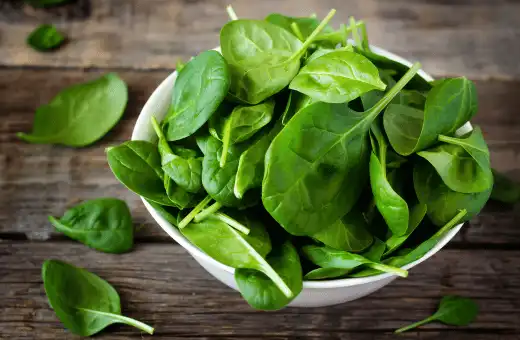 spinach is a perfect alternates for dandelion greens