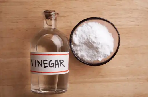 vinegar is a suitable rennet substitute for mozzarella