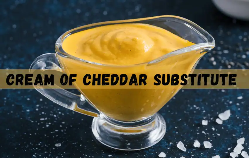 cream of cheddar is a creamy cheesy soup