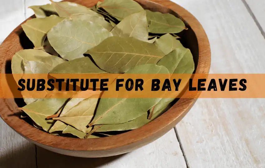 bay leaves are aromatic flavor packed leaves that come from the bay laurel tree