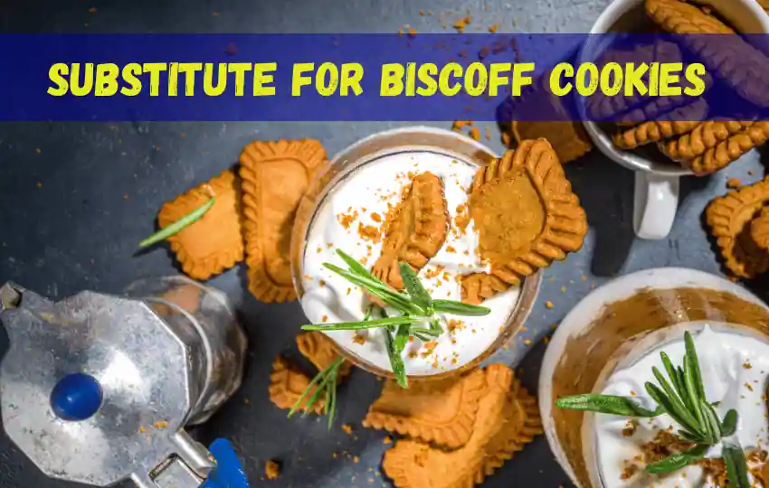 biscoff cookies are a type of traditional Belgian cookie made from flour sugar vegetable oil and spices