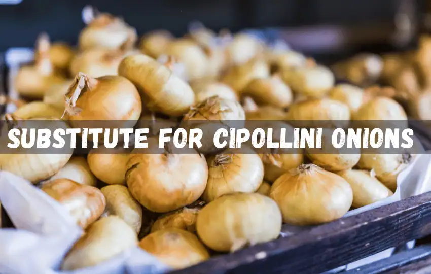 cipollini onions are a type of Italian onion known for their small and round shape