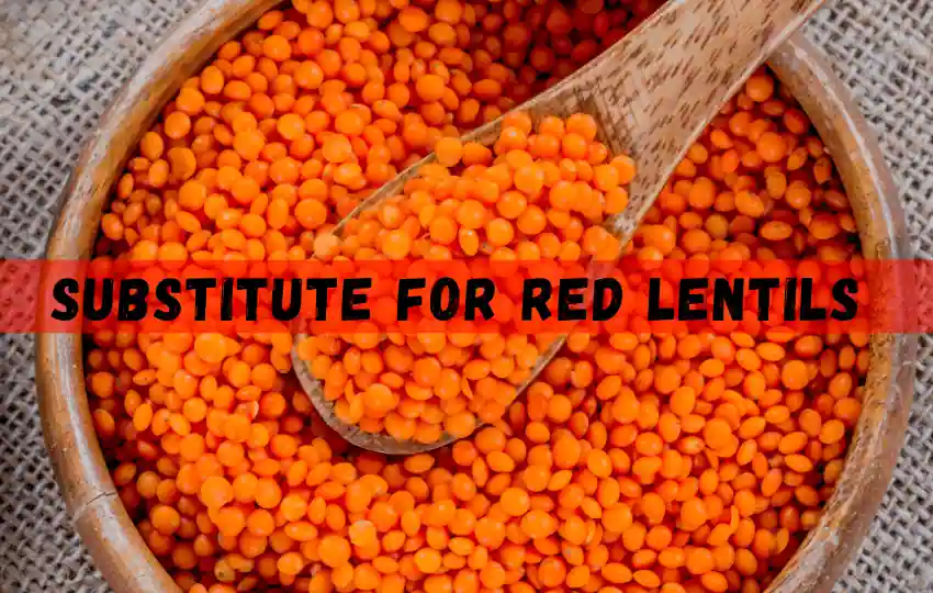 red lentils are a type of legume small round and typically red brown in color