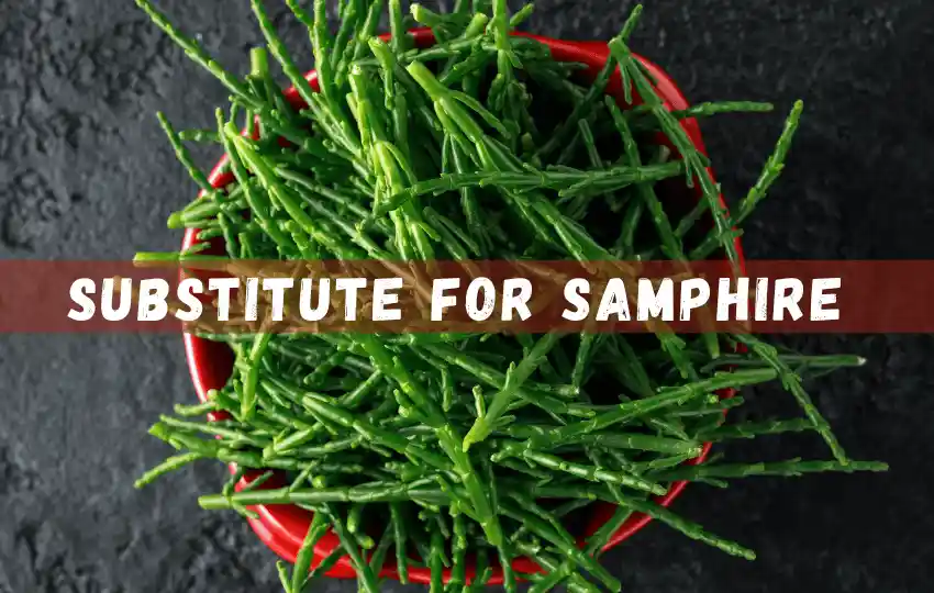samphire also known as sea asparagus is a salty and crunchy vegetable