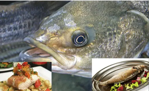 try Chilean sea bass for Mahi Mahi Substitute