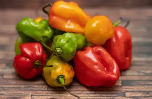habanero peppers are good substitutes for capsicum baccatum