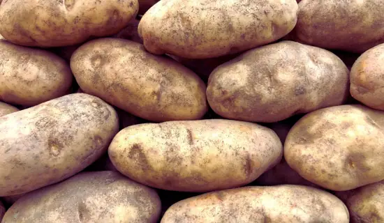 idaho potato is a good substitute for maris piper potatoes