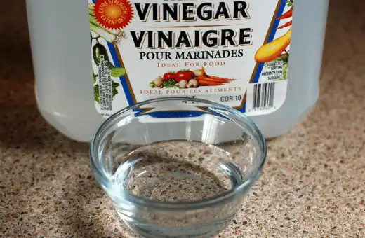 vinegar is nice egg white powder macarons alternate