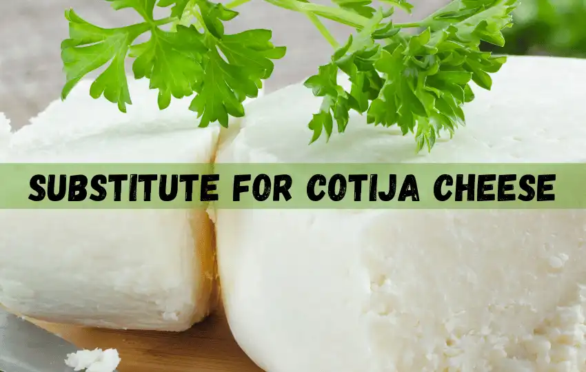 cotija cheese is a kind of mexican cheese which is commonly used in several mexican dishes