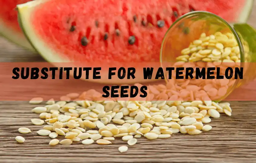 watermelon seeds are small hard seeds that are found inside the flesh of a watermelon
