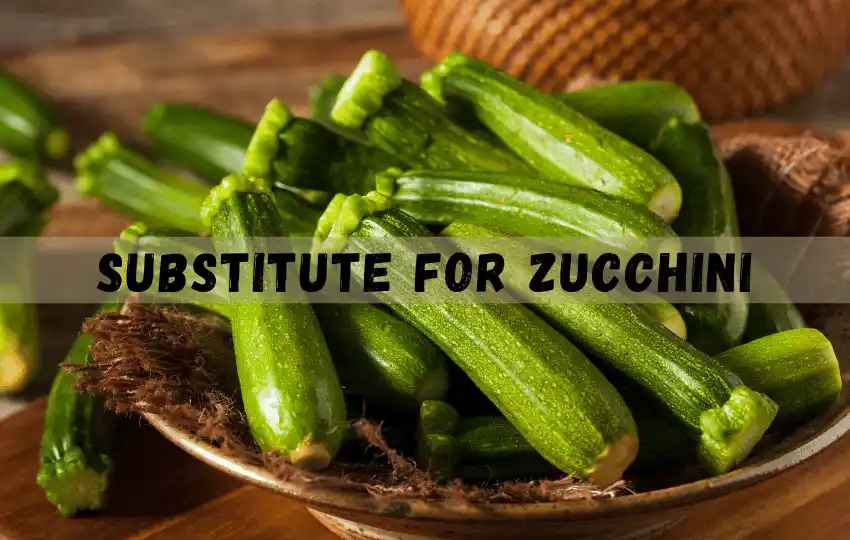 zucchini is a versatile vegetable that can use in a wide range of recipes