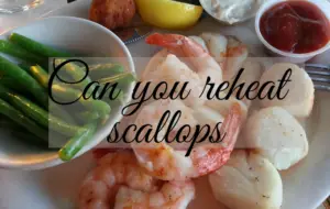 Can you reheat scallops- everything you should know